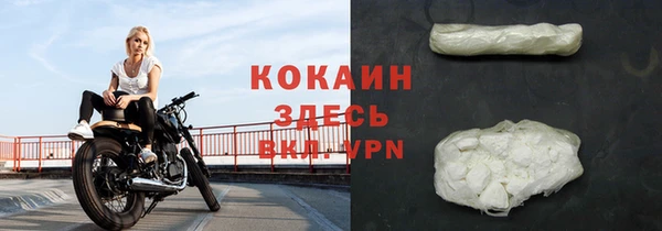 твердый Бородино