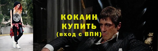 твердый Бородино