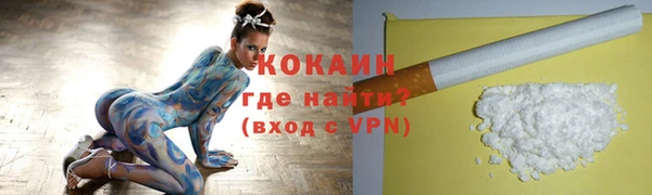 твердый Бородино