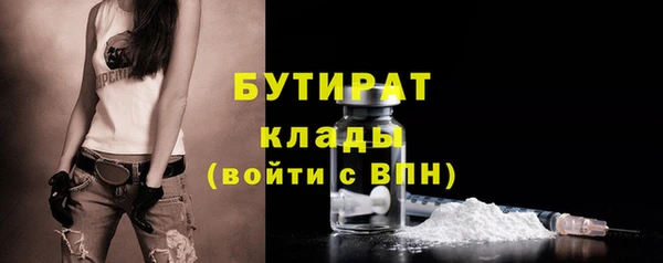 твердый Бородино