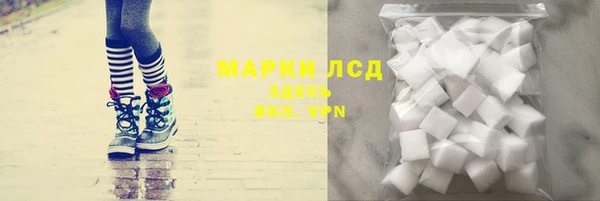 твердый Бородино