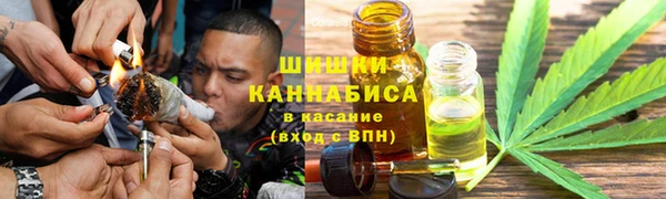 круглые Бронницы